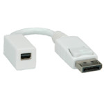 Adapter DisplayPort - Mini DisplayPort, M/F, 0.15m, Roline  